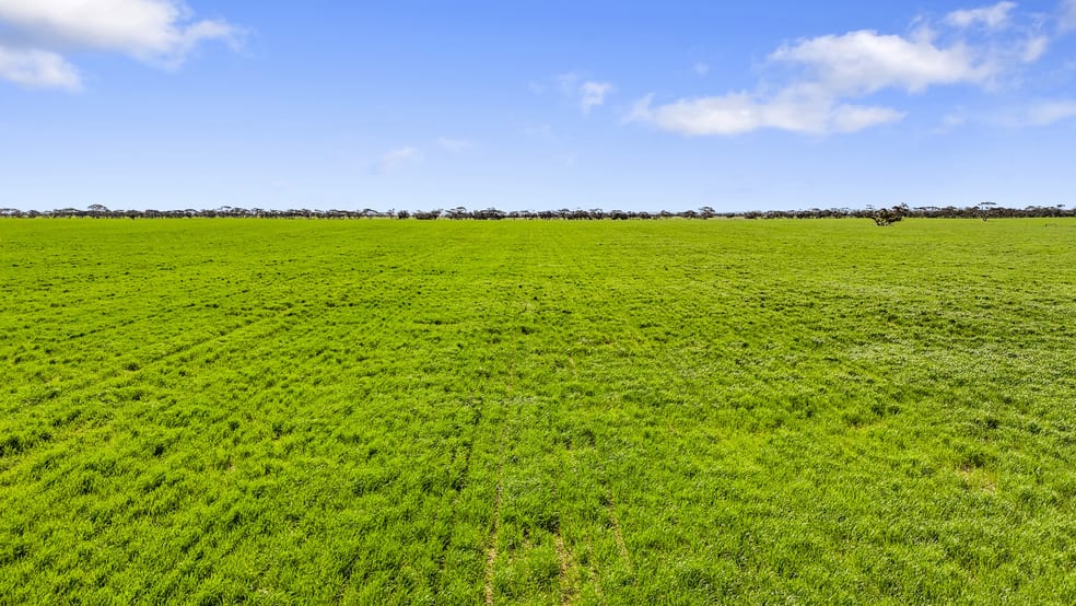 Click to view all images 378 Jones Road Yumali SA 5261 - Image 2