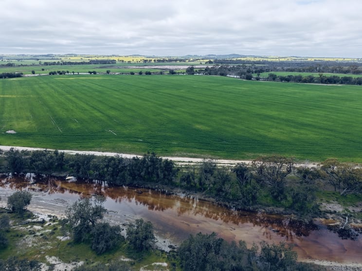 Click to view all images 501 & 502 Yenyening Lakes Road Bally Bally WA 6304 - Image 2
