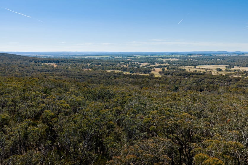 Click to view all images 55 Gumnut Crescent Bungonia NSW 2580 - Image 3
