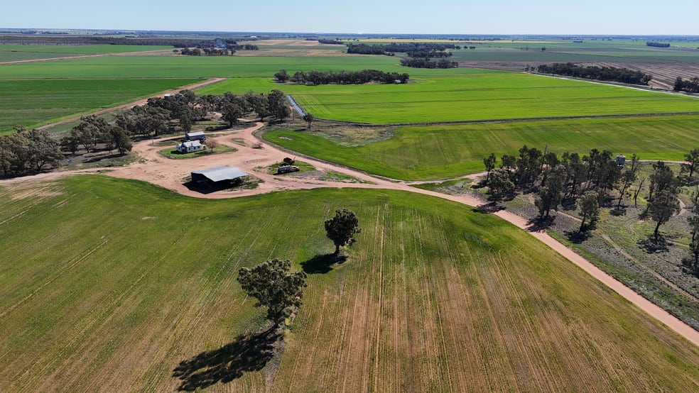 Farm 25/1354 Main Canal Road Coleambally NSW 2707 - Image 3