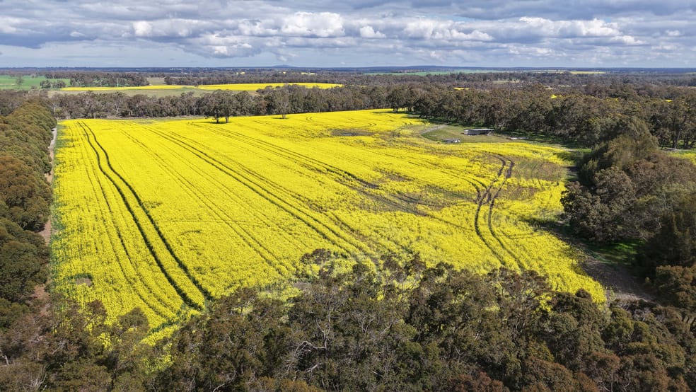 Click to view all images 171 Kwornicup Road Forest Hill WA 6324 - Image 2