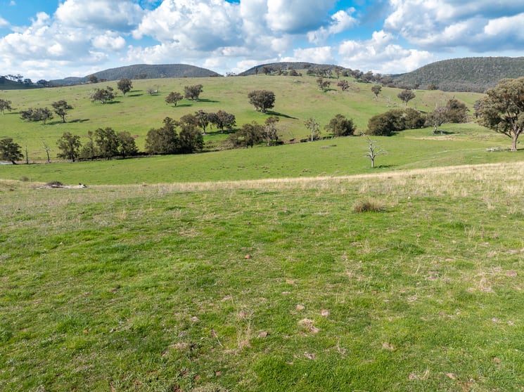 289 Paling Yards Loop Bowan Park NSW 2864 - Image 3