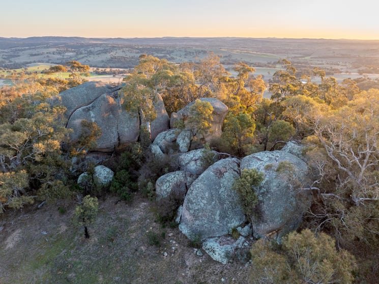 1557 Tarana Road Locksley NSW 2795 - Image 3