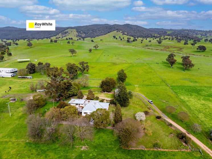 Click to view all images 1701 Adelong Road Gundagai NSW 2722 - Image 1