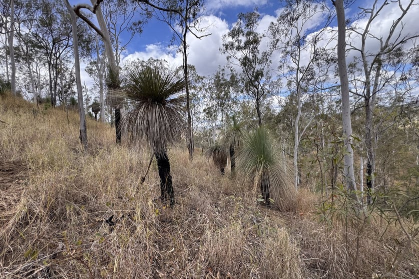 Click to view all images "Jalna" 266 Childs Road Boyne Valley QLD 4680 - Image 2