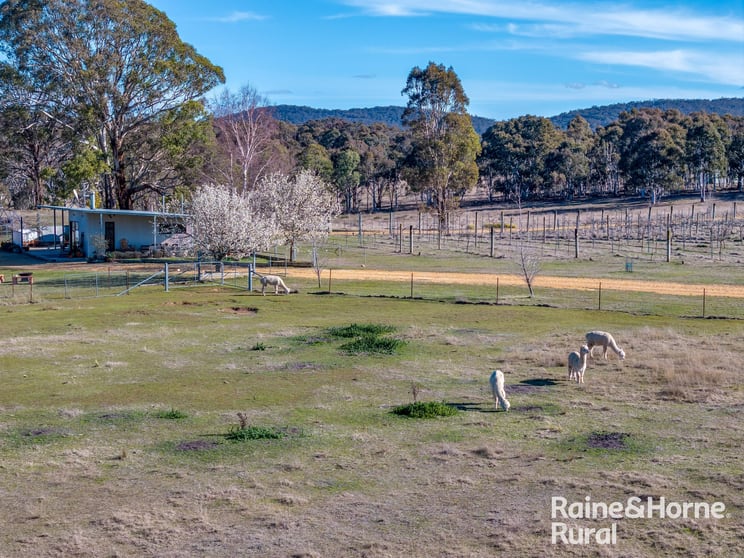 Click to view all images 1917 Collector Road Collector NSW 2581 - Image 3