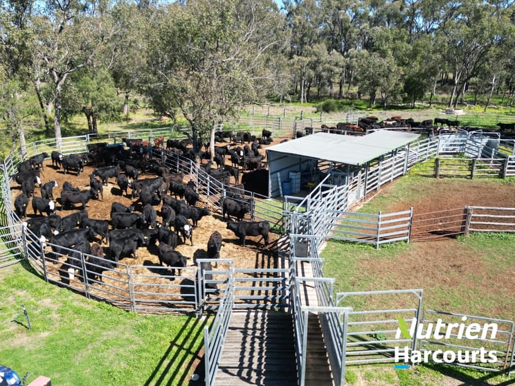 Click to view all images 2210 Chinchilla Wondai Road Canaga QLD 4413 - Image 3