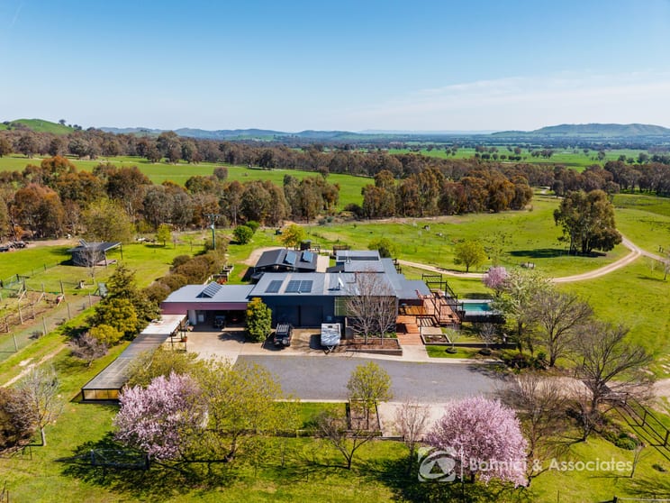 1417 Buckland Gap Road Murmungee VIC 3747 - Image 1