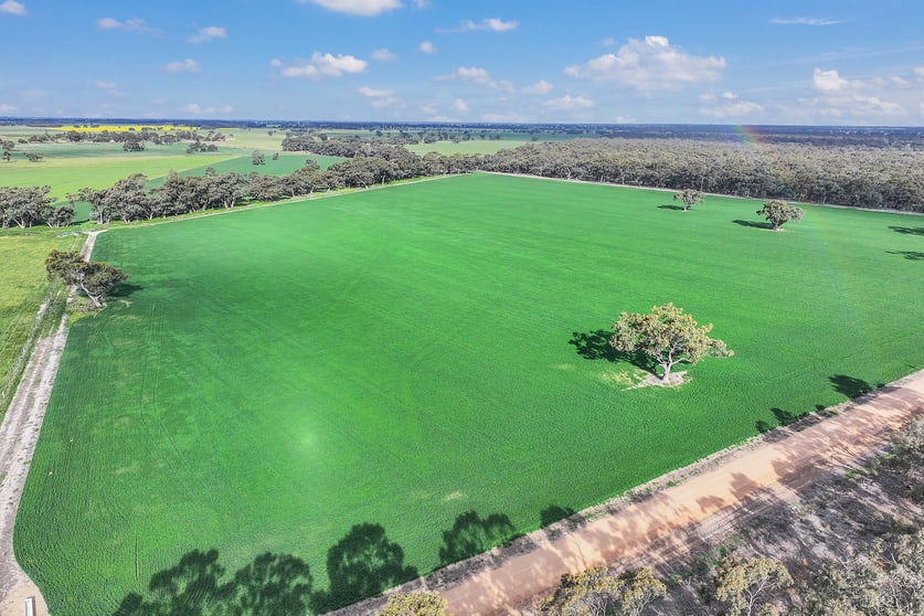 1136 Cobb Highway Deniliquin NSW 2710 - Image 2
