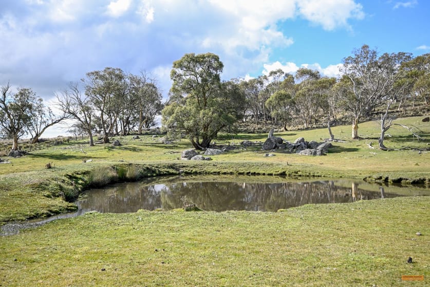 Click to view all images "Hobbs Range" 40 Hobbs Lane Moonbah NSW 2627 - Image 3