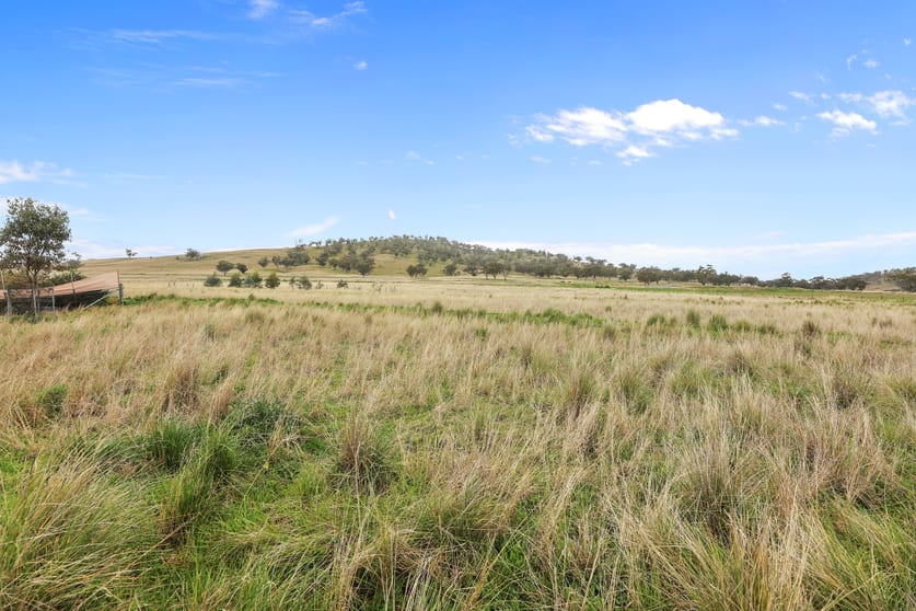 Click to view all images "Prairie" 1758 Werris Creek Road Werris Creek NSW 2341 - Image 3