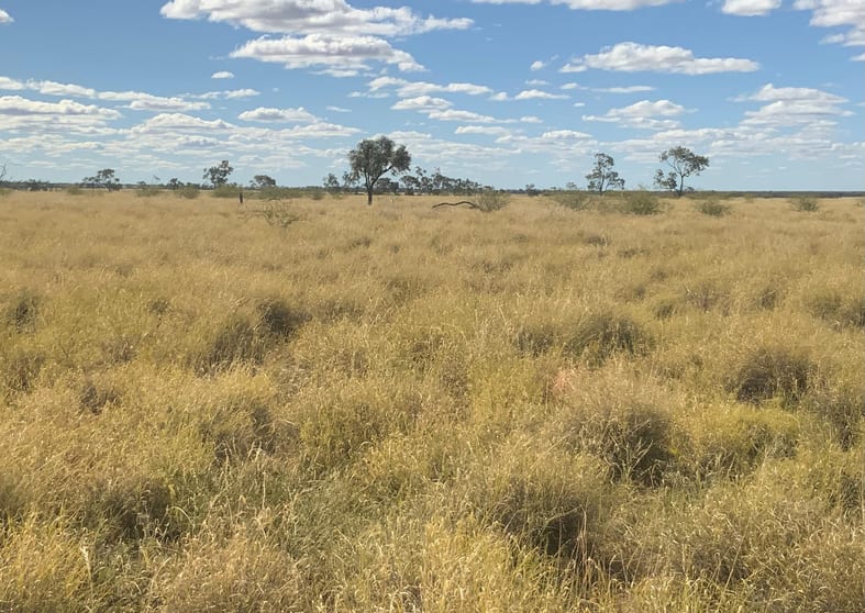 Click to view all images 'Glenthomson' Thomson Developmental Road Longreach QLD 4730 - Image 2