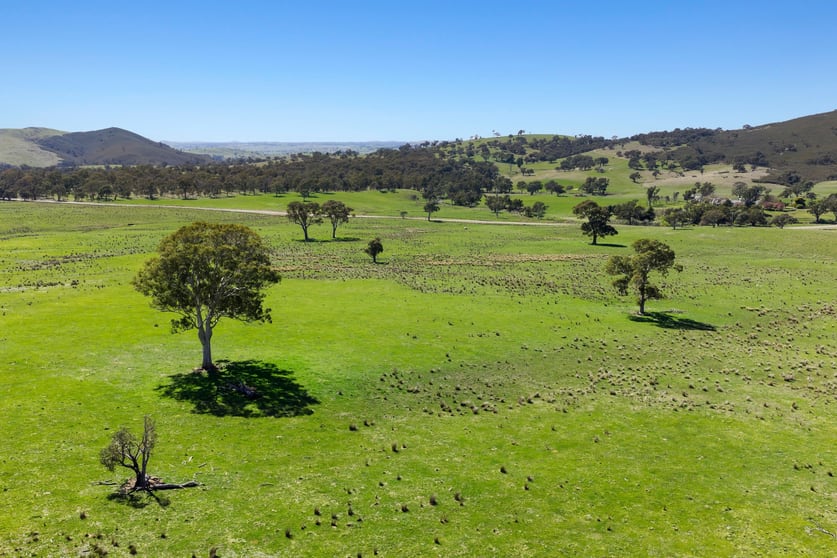 Click to view all images 1663 Mountain Creek Road Mullion NSW 2582 - Image 1