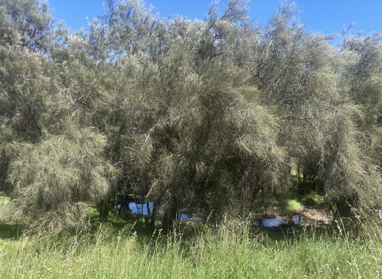 Click to view all images Lot 72 Oakajee Road Howatharra WA 6532 - Image 2