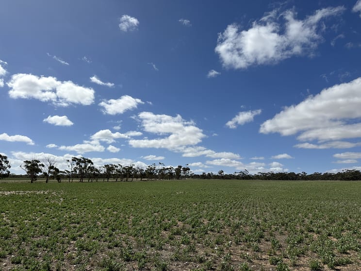 4910 Mallee Highway Peake SA 5301 - Image 3