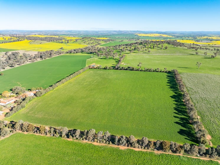 Click to view all images 'Canford' 264 Canford Lane Canowindra NSW 2804 - Image 3