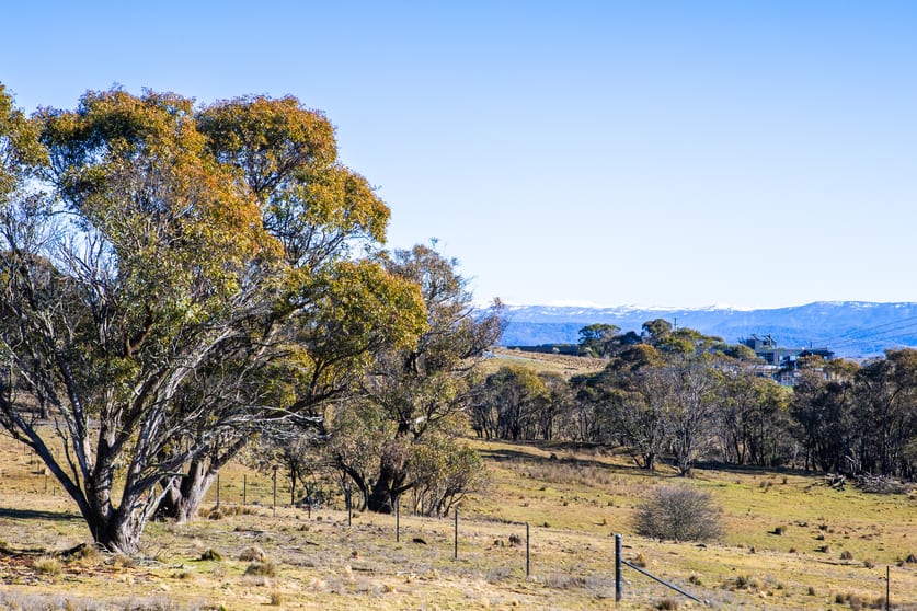 7046 The Snowy River Way Jindabyne NSW 2627 - Image 3
