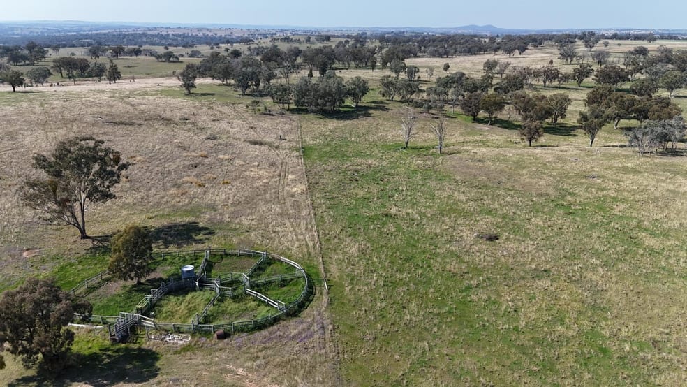 Click to view all images "Coolendoon" 810 The Pocket Road Bukkulla NSW 2360 - Image 2