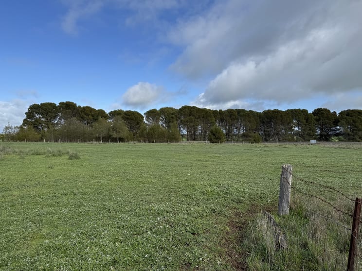 Lot 673 Riddoch Highway Naracoorte SA 5271 - Image 3