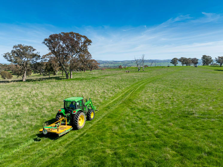 321 Mount Macquarie Road Carcoar NSW 2791 - Image 2