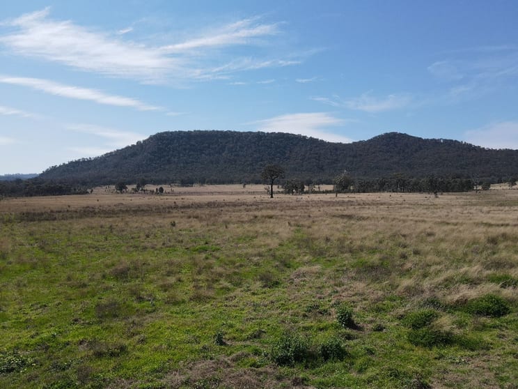 1022 Ridgelands Road Muswellbrook NSW 2333 - Image 1