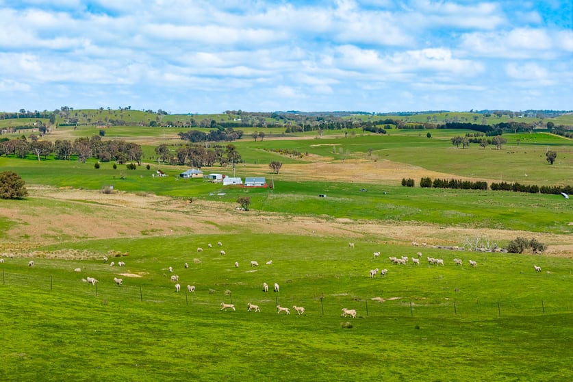 Click to view all images 1702 Binda Road, Binda via Crookwell NSW 2583 - Image 3