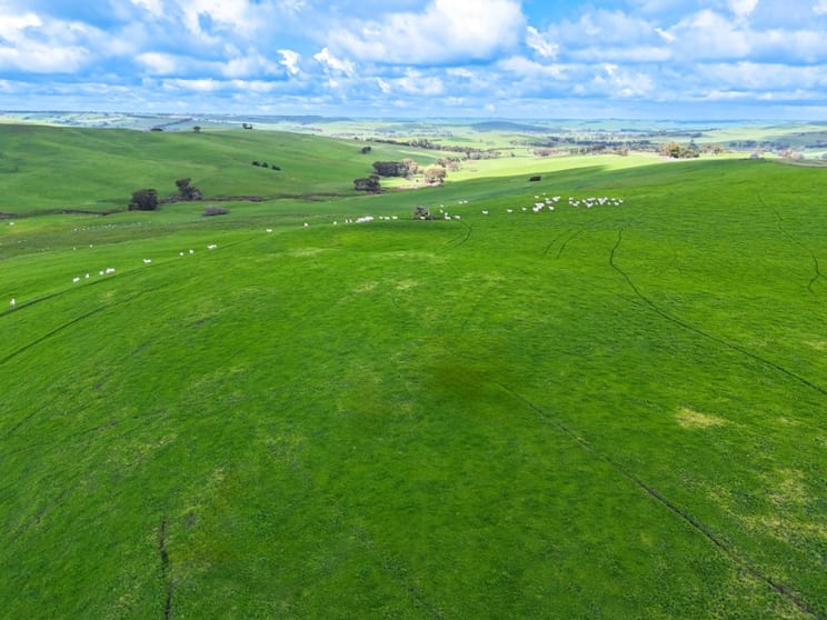 Click to view all images 374 Balochile Road Coleraine VIC 3315 - Image 2
