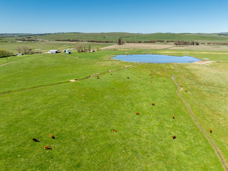 3580 Mid Western Highway Blayney NSW 2799 - Image 3