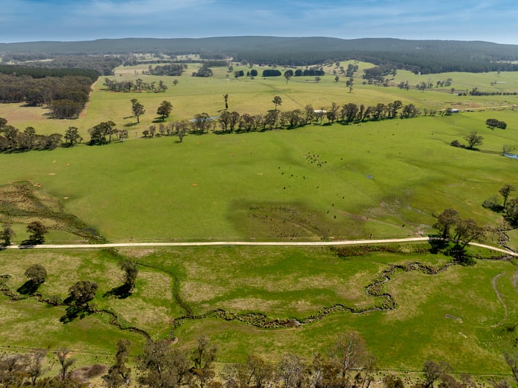 Click to view all images 224 Cranfield Road Chatham Valley NSW 2787 - Image 2