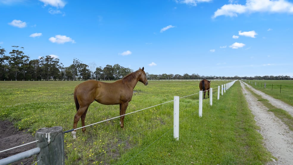 108 Herron Point Road Birchmont WA 6214 - Image 1
