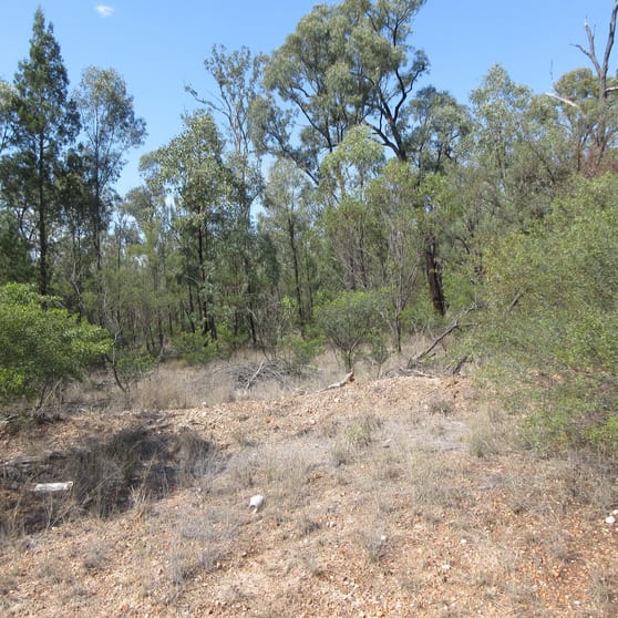 Click to view all images Lot 6 Cartens Lane Tara QLD 4421 - Image 3