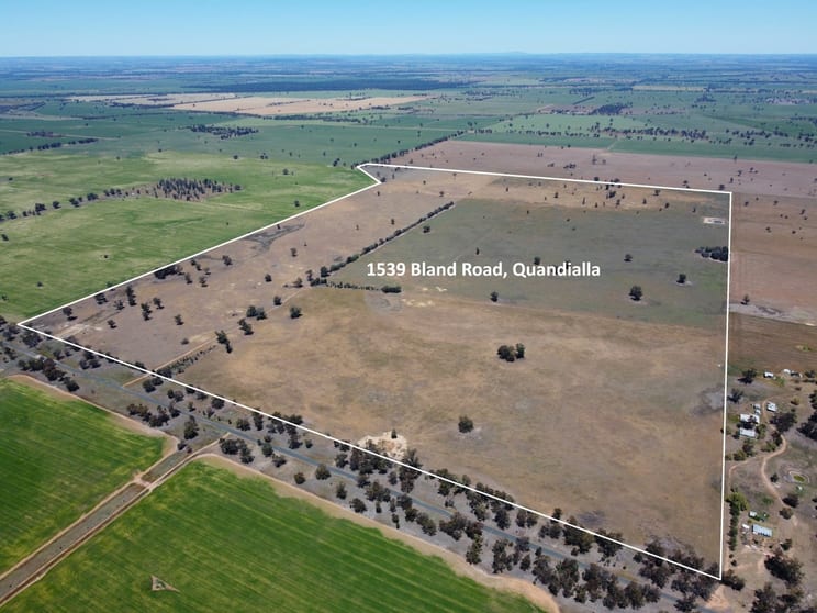 1539 Bland Road Quandialla NSW 2721 - Image 2