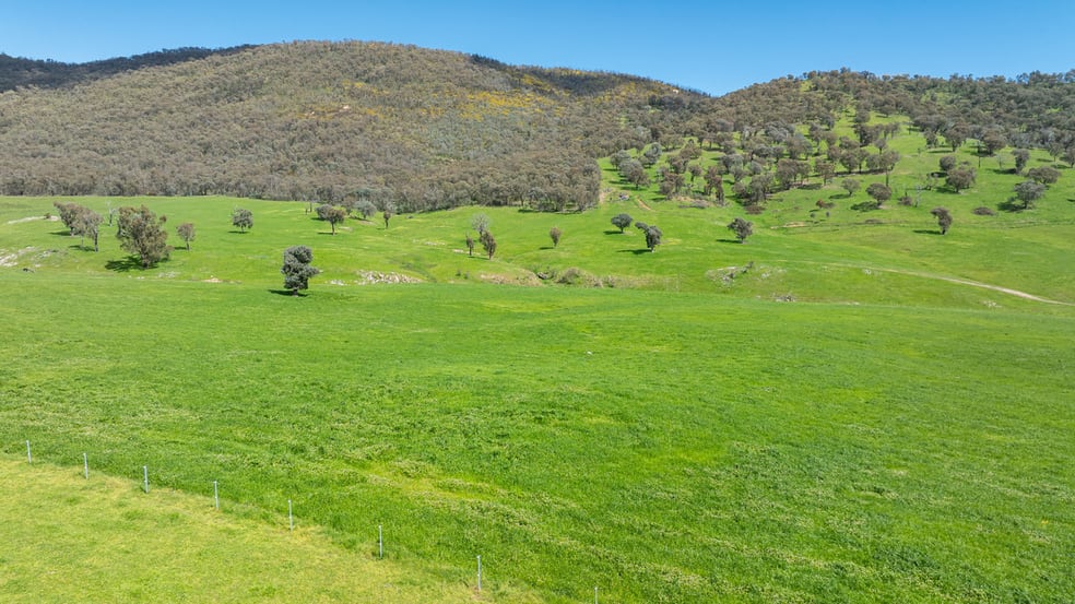 16/ Ranch Road Tintaldra VIC 3708 - Image 3