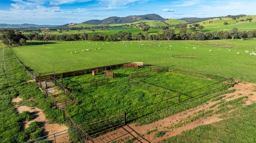 Lot 1/279 & Lot 2/281 Jingellic Road Holbrook NSW 2644 - Image 3