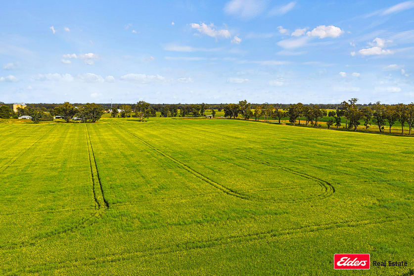 Click to view all images 223 Morans Road Bribbaree NSW 2594 - Image 3