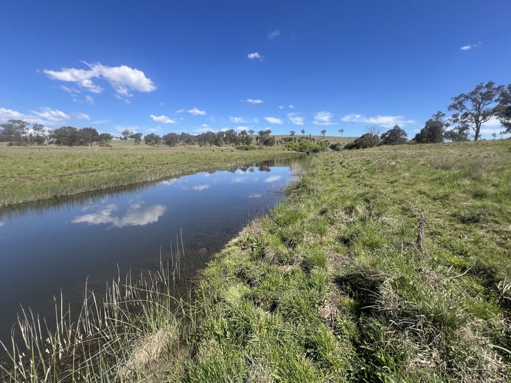 Click to view all images 400 Bullock Mountain Road Glen Innes NSW 2370 - Image 2