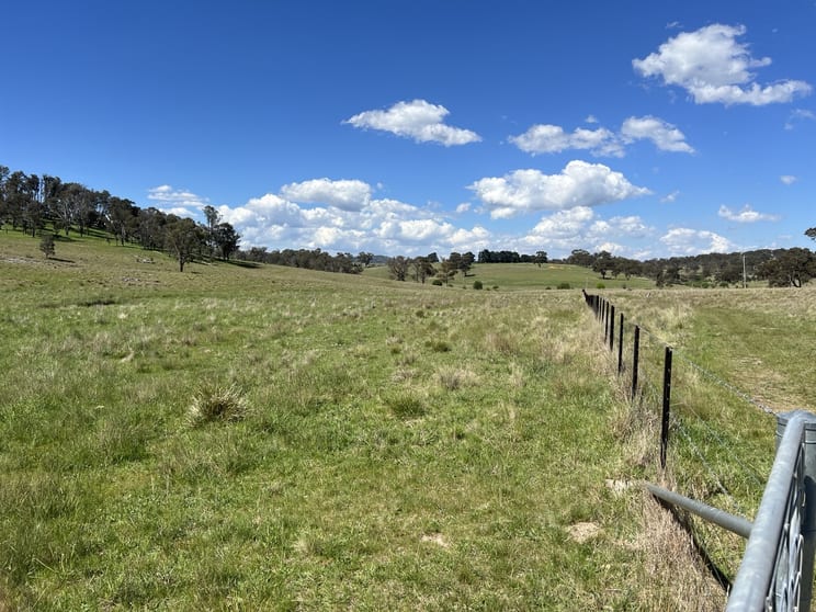 Click to view all images 400 Bullock Mountain Road Glen Innes NSW 2370 - Image 3
