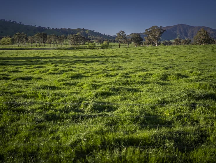 3091 Shelley Road Walwa VIC 3709 - Image 2
