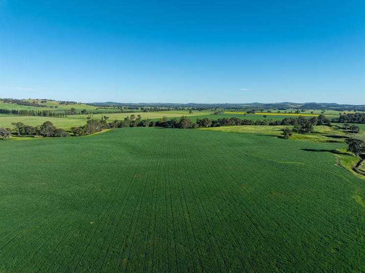 Click to view all images 921 Fellow Hills Road Mountain Creek NSW 2644 - Image 2