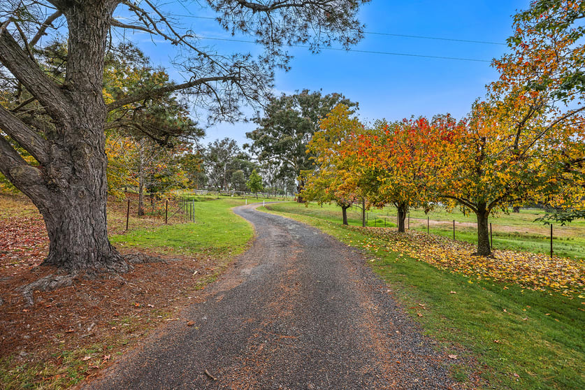 80 Doughboy Street Murrurundi NSW 2338 - Image 3