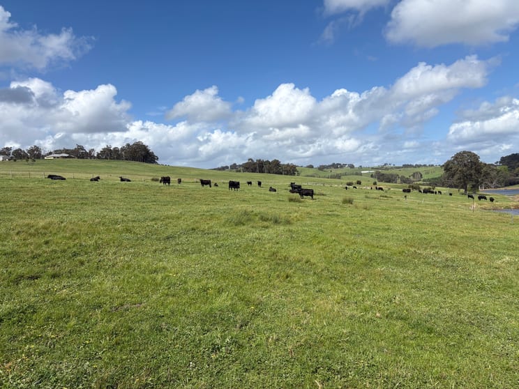 Lot 72 Beelerup Road Beelerup WA 6239 - Image 3