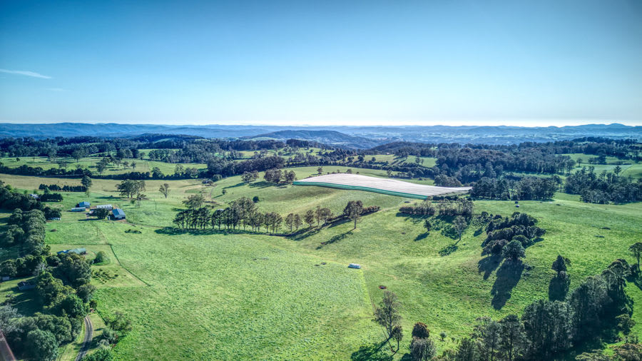 Dorrigo NSW 2453 - Image 2
