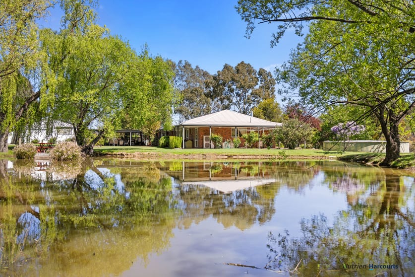 17 Marr Court Eildon VIC 3713 - Image 3
