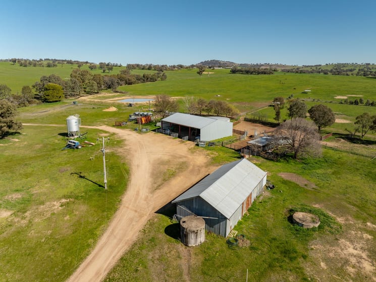 Click to view all images 2018 Henty Cookardinia road Cookardinia NSW 2650 - Image 3