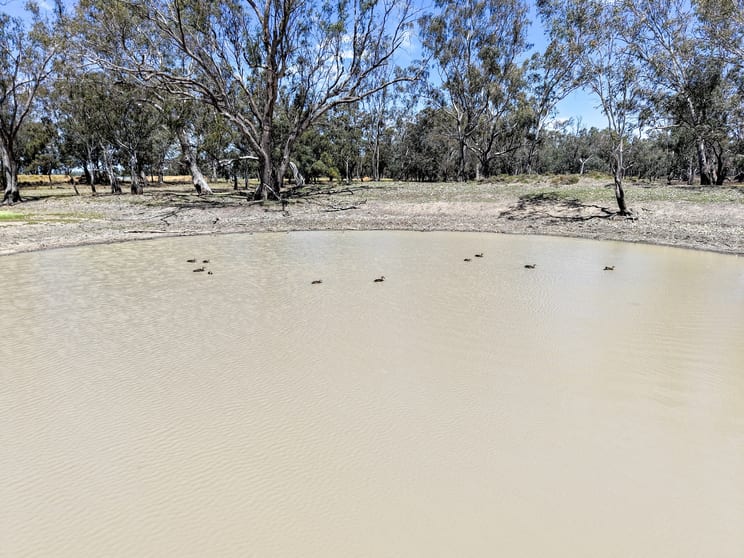Click to view all images 1359 Saddleback Road Forbes NSW 2871 - Image 1