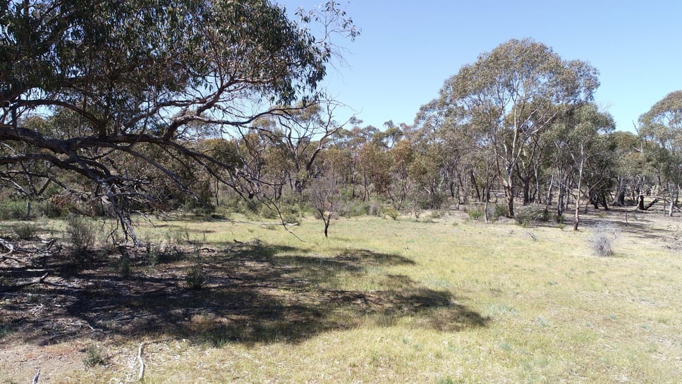 Click to view all images Allotment 7D Wedderburn Road St Arnaud East VIC 3477 - Image 3