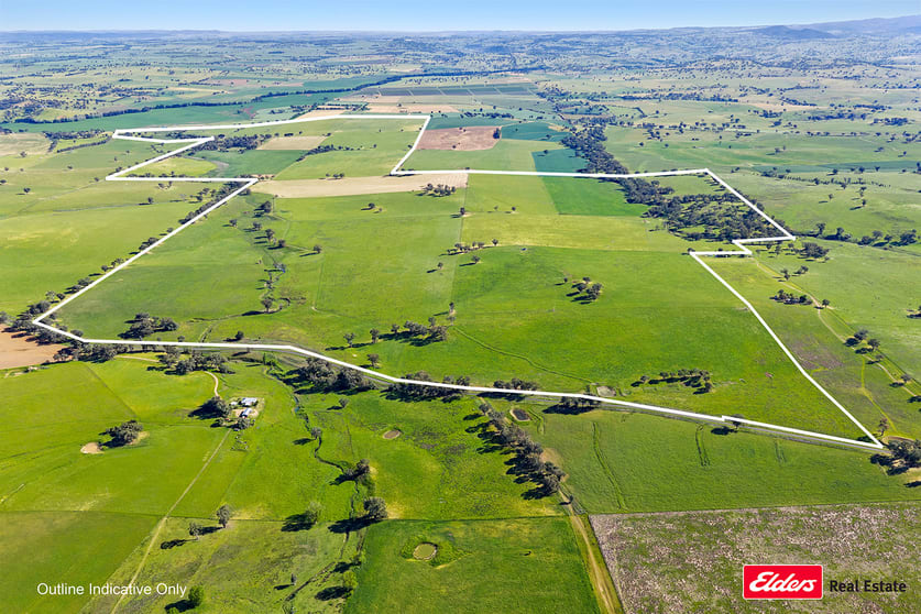 Click to view all images 3809 Belubula Way Canowindra NSW 2804 - Image 2