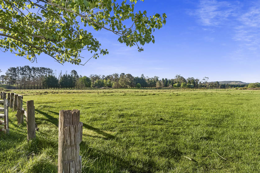 Click to view all images 61 Conflict Street Sutton Forest NSW 2577 - Image 2