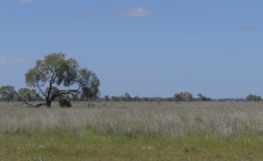 Click to view all images Warren NSW 2824 - Image 1