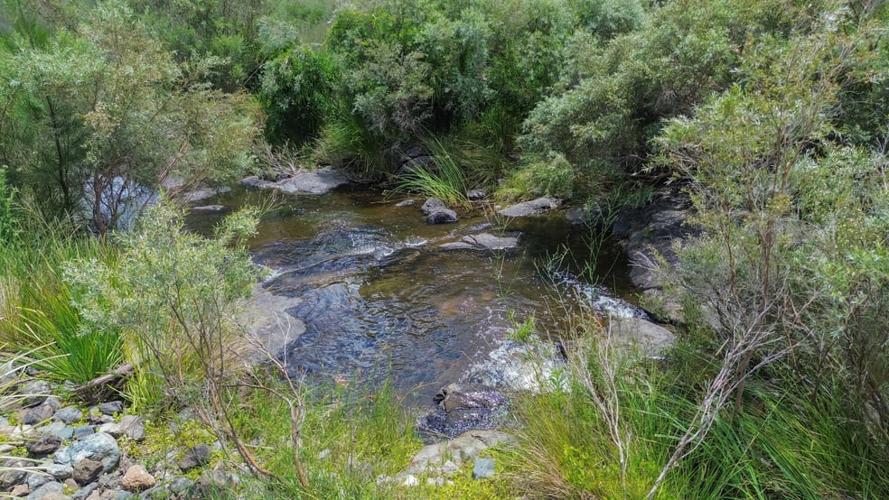 Click to view all images 1325 Connolly Dam Road Silverwood QLD 4370 - Image 3